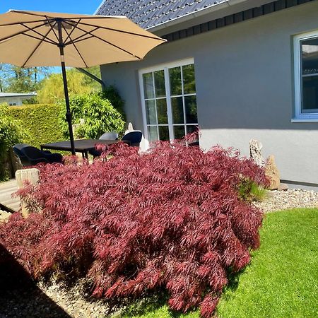 Ferienhaus Buhne 31 Prerow Esterno foto
